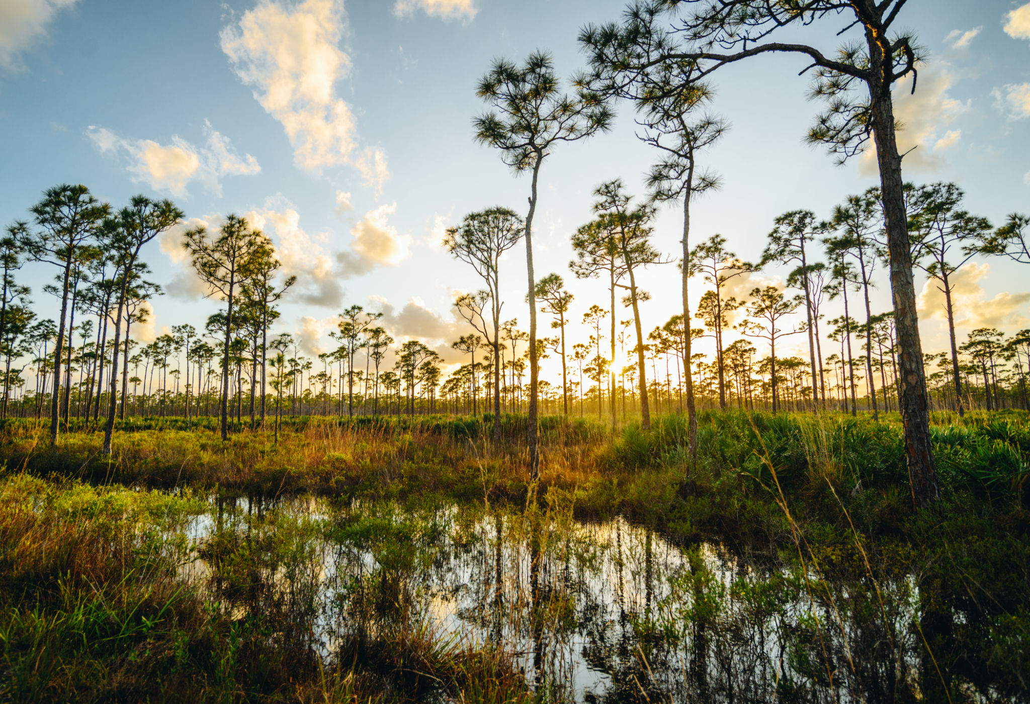 florida nature conservation