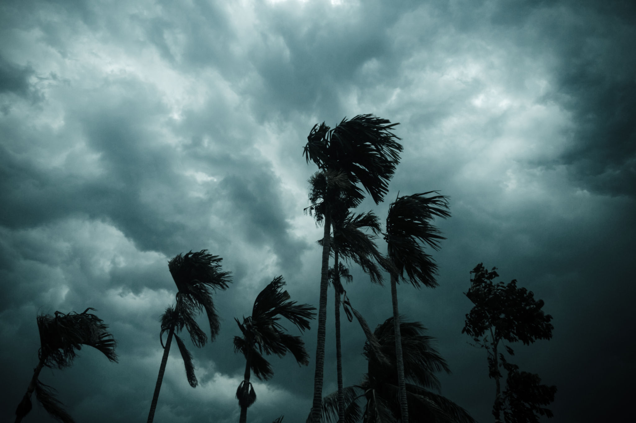 monsoon rain