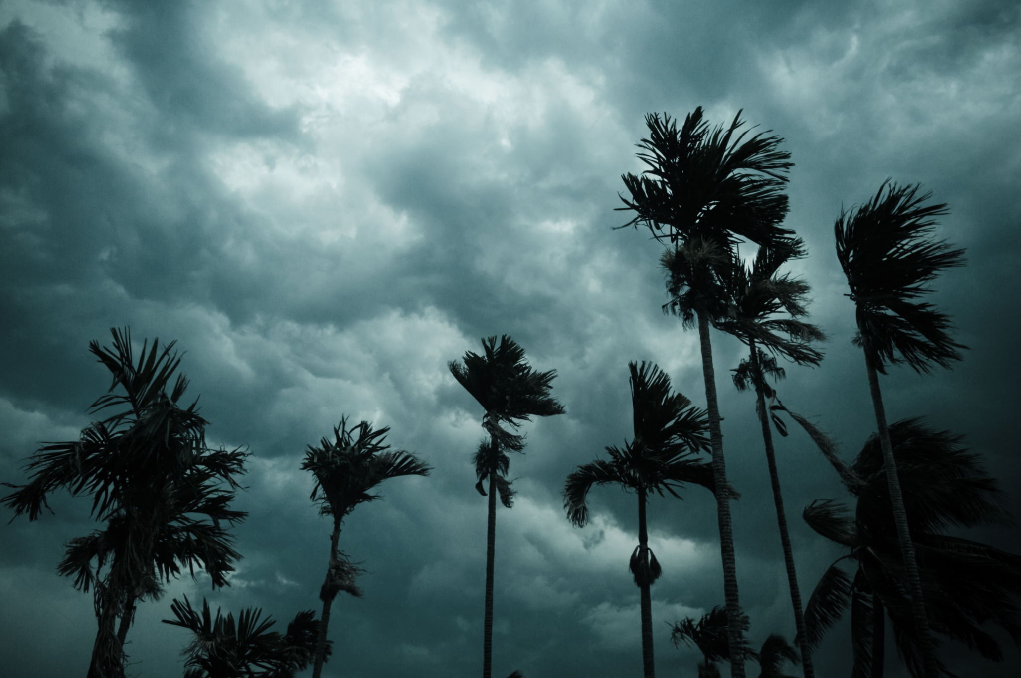 monsoon rain