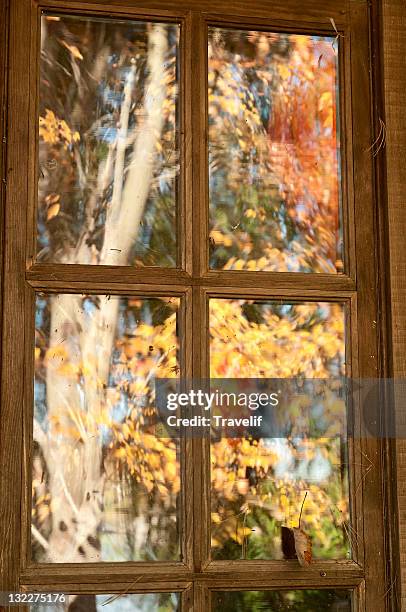 Tree Reflection Windo Tree Falls Through Window Photos and Premium High Res Pictures - Getty ...