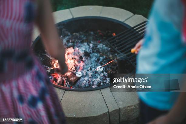 kids roasting marshmallows - stoking stock pictures, royalty-free photos & images