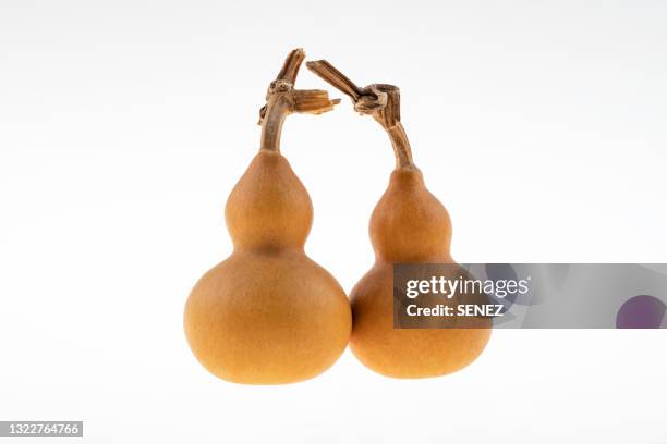 chinese gourds (calabash) / bottle gourd - bottle gourd stock pictures, royalty-free photos & images