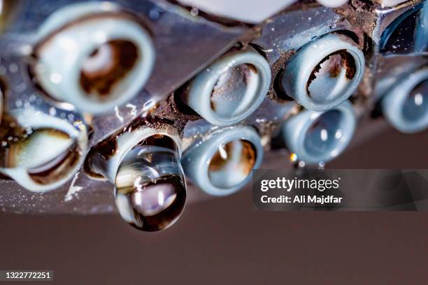 mold on shower head - shower head stock pictures, royalty-free photos & images