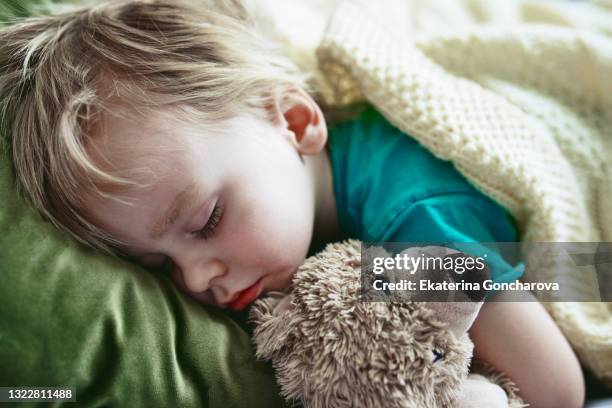 portrait of a sleeping boy with a bear cub - sleeping toddler bed stock-fotos und bilder