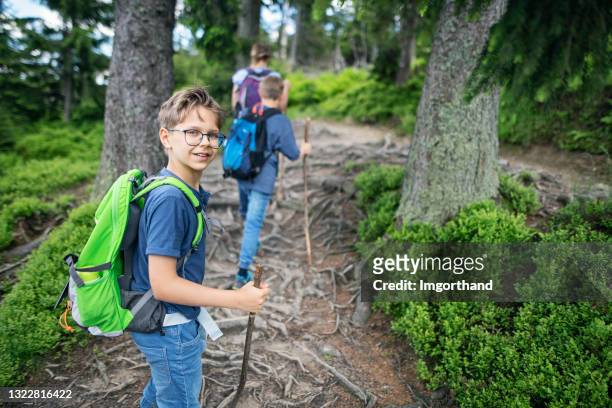 familienwandern im wunderschönen bergwald - discovery bags walking stock-fotos und bilder