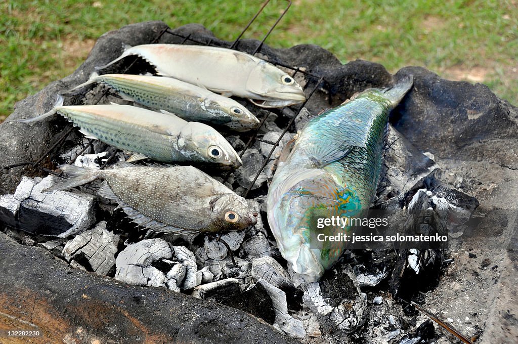 Grilled tropical fish