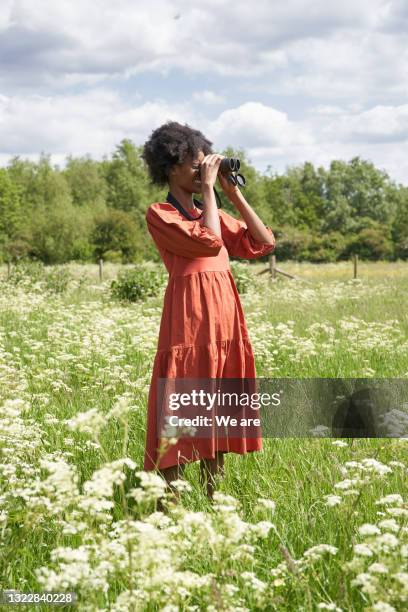 woman bird watching in meadow - fågelskådning bildbanksfoton och bilder