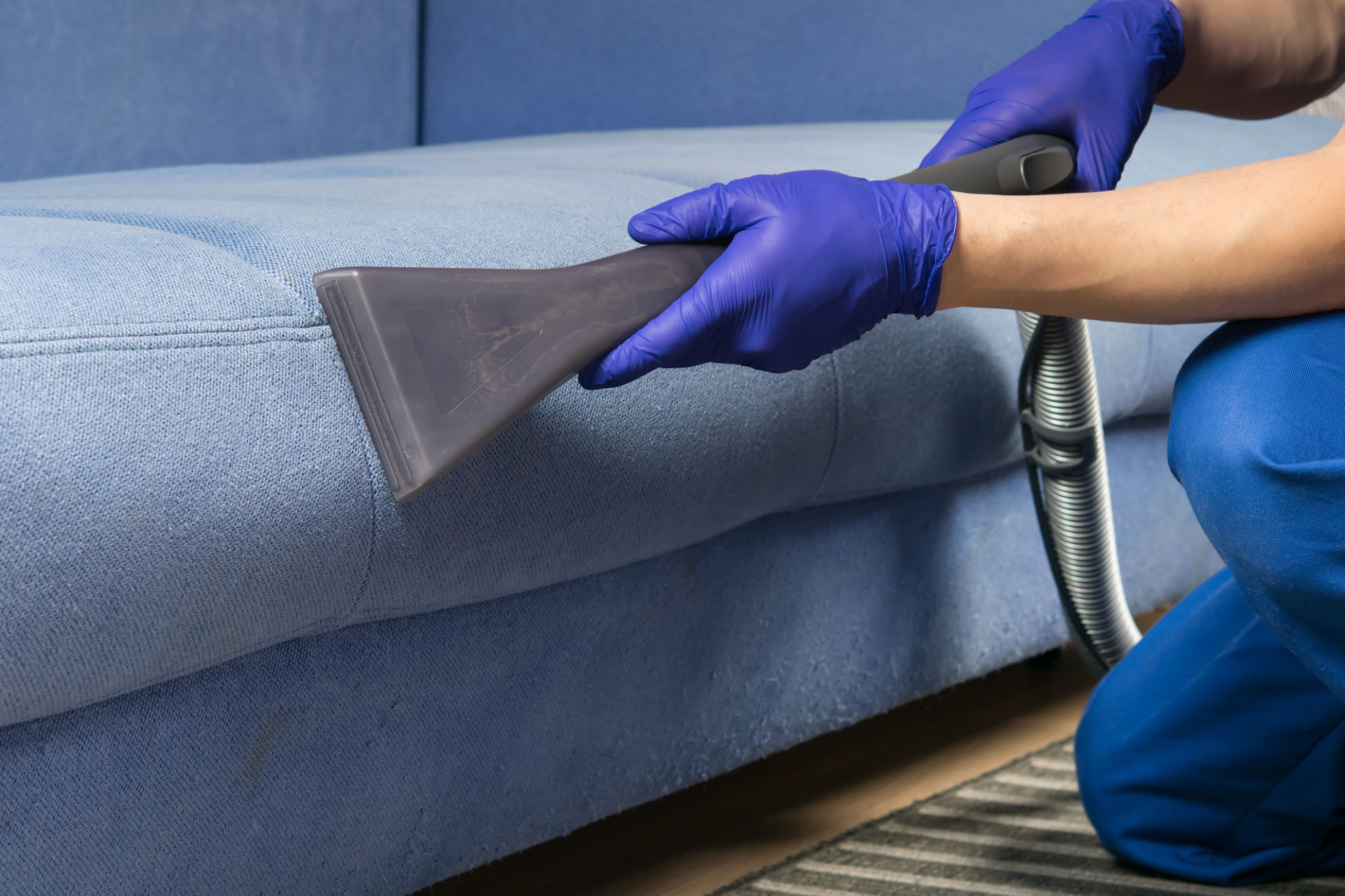 clean couch
