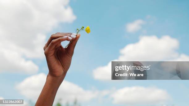 woman holding flower against blue sky - flowers summer stock pictures, royalty-free photos & images