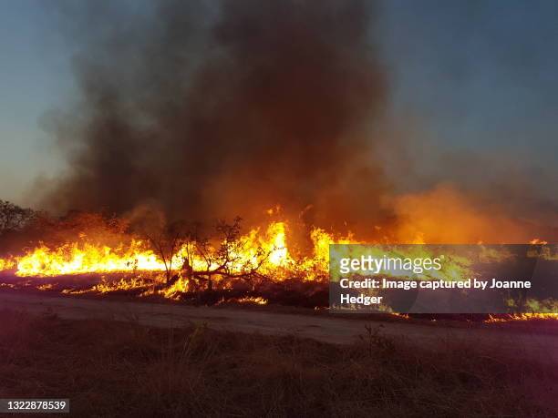 bushfires in the kafue national park in zambia - natural disaster stockfoto's en -beelden