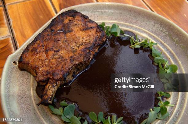 pork chop/cutlet with mole negro sauce and verdolaga/purslane leaves - mole sauce fotografías e imágenes de stock