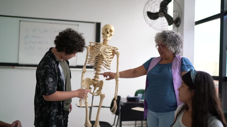 Science Classroom Skeleton Videos and HD Footage - Getty Images