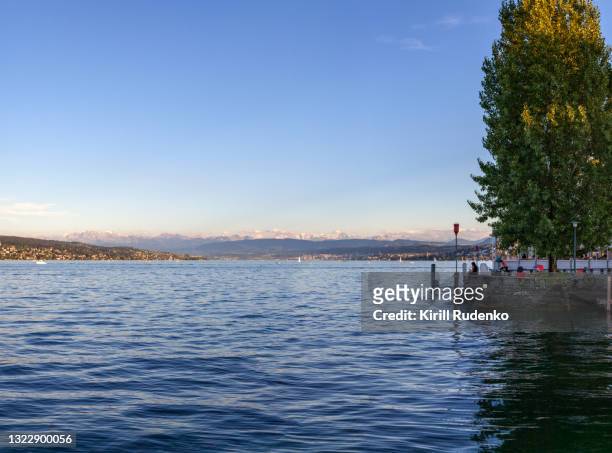 lake zurich in summer - lake zurich stock pictures, royalty-free photos & images