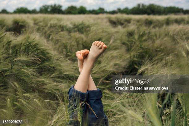 the child's feet are raised up in a field with green ears of barley. - junge barfuß stock-fotos und bilder