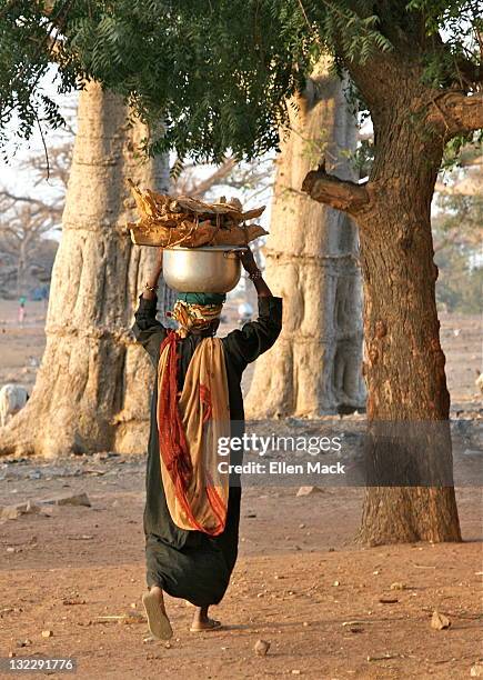 bringing home firewood - dogon bezirk stock-fotos und bilder