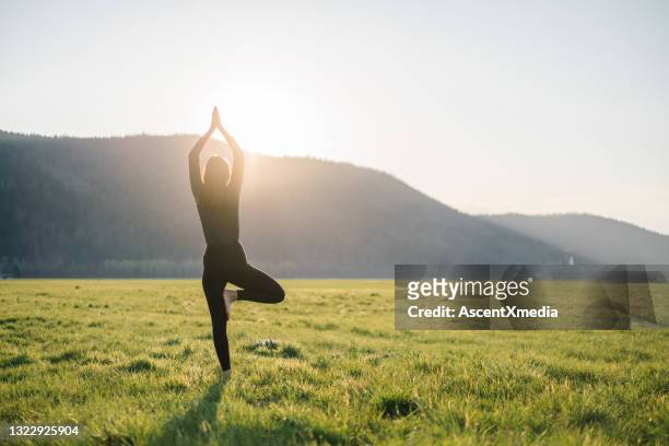 junge frau übt yoga in grasbewachsener wiese bei sonnenaufgang - standing on one leg stock-fotos und bilder