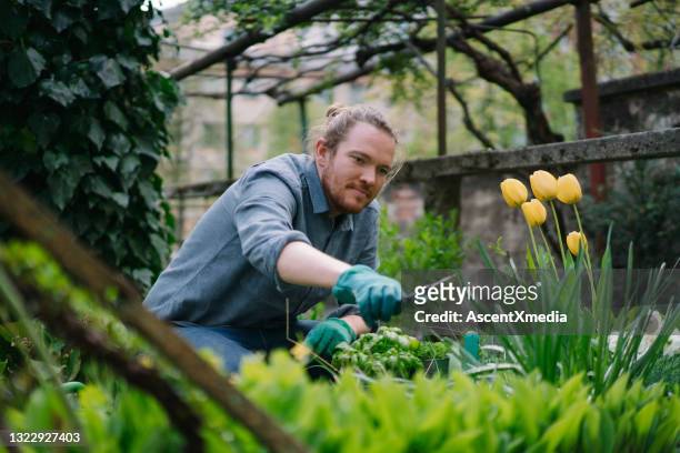 jardines del hombre joven en su patio trasero - man flower shirt fotografías e imágenes de stock