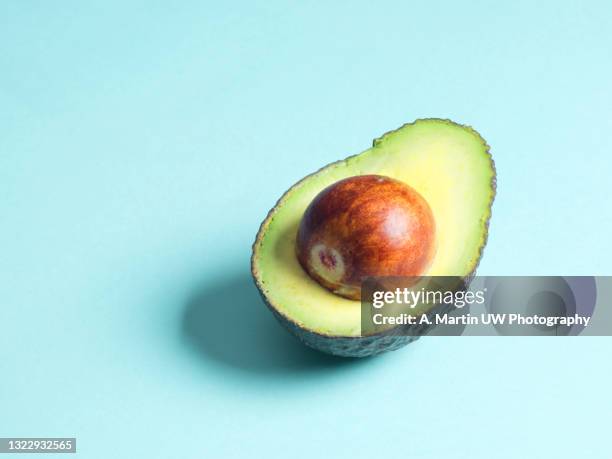 avocado isolated on a blue background - avocado isolated imagens e fotografias de stock