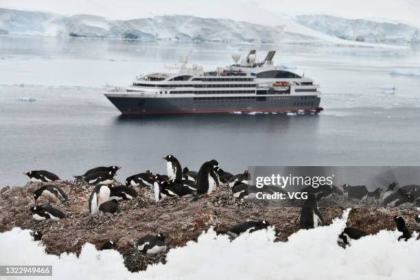 Penguins are seen with a ship in the background on December 17, 2019 in Antarctica.