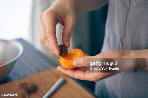 hand picking apricot seeds. - apricot 個照片及圖片檔