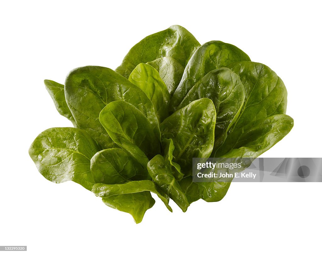 Spinach bunch on white