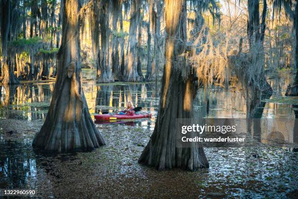 kayaking in a cypress swamp - caddo lake stock pictures, royalty-free photos & images