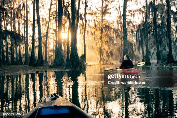 geestelijke zonsopgang bij meer martin, la - louisiana swamp stockfoto's en -beelden