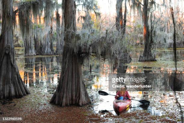 kayaking in a cypress swamp - caddo lake stock pictures, royalty-free photos & images