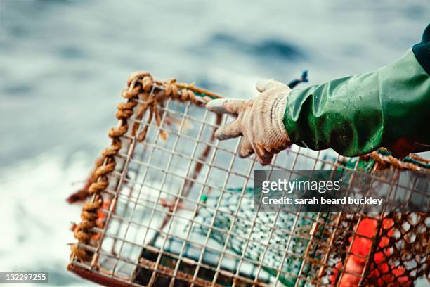 lobster trap - hummerkorb stock-fotos und bilder