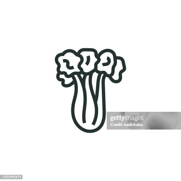 celery line icon - ground ginger stock illustrations