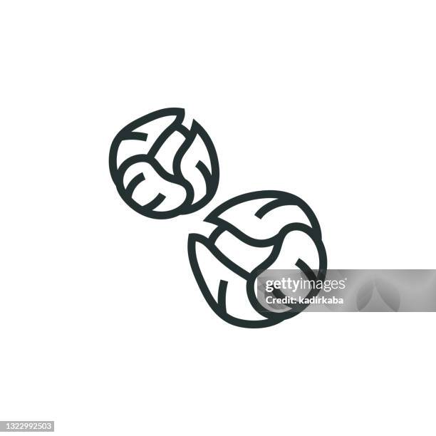 brussell sprouts line icon - ground ginger stock illustrations