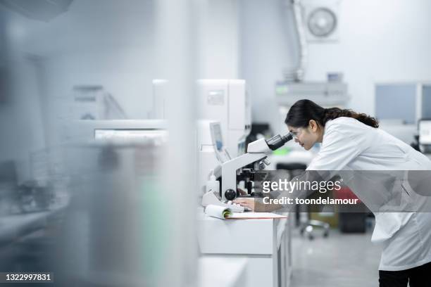 técnicos médicos doutor olhando para o microscópio - histologia - fotografias e filmes do acervo