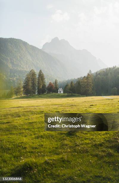 bayerische alpen - bayerische alpen stock pictures, royalty-free photos & images