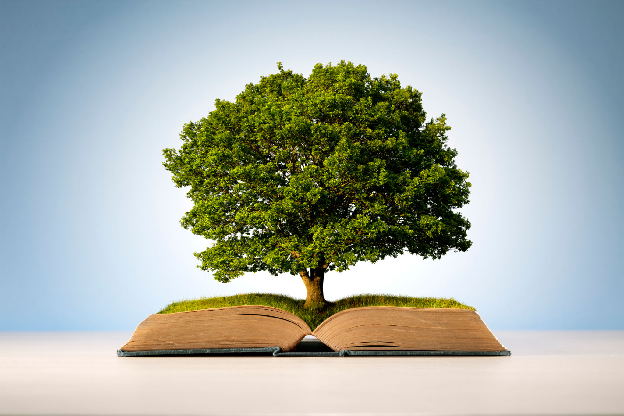 tree experts