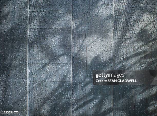 shadows across fence - sean gardner - fotografias e filmes do acervo