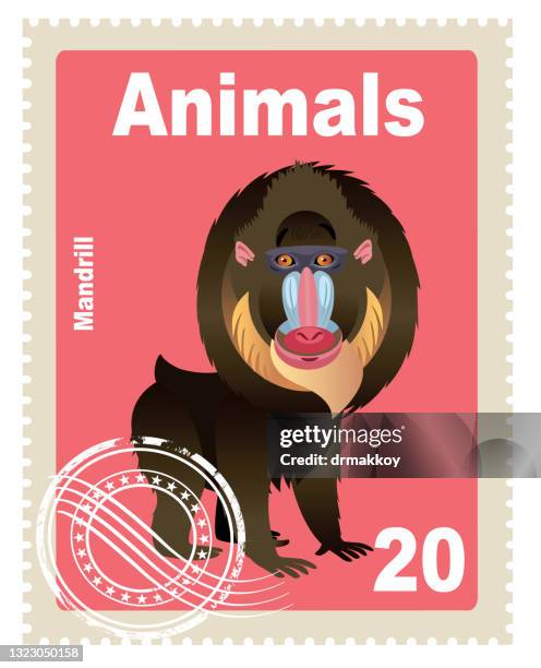 mandrill stamp - baboon stock illustrations