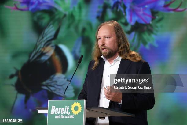 Anton Hofreiter, co-head of the German Greens Party Bundestag faction, speaks at the virtual federal party congress on June 11, 2021 in Berlin,...