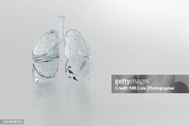 3d rendering of human internal organ - respiratory disease stock pictures, royalty-free photos & images