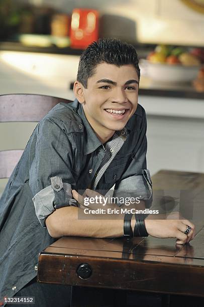 110 Interstitial Cells Stock Photos, High-Res Pictures, and Images ...