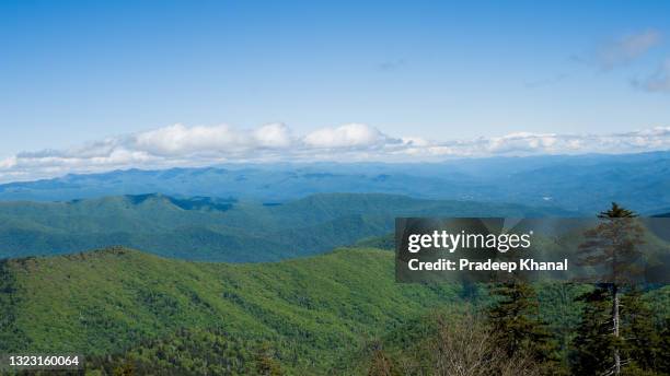 view of great smoky mountains national park - clingman's dome - fotografias e filmes do acervo