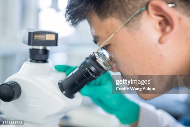 Male Scientist Using Microscope Young Man Microscope Photos and Premium High Res Pictures - Getty Images