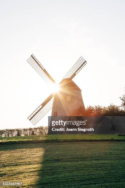 windmühle bei sonnenuntergang - nachhaltige entwicklung 個照片及圖片檔