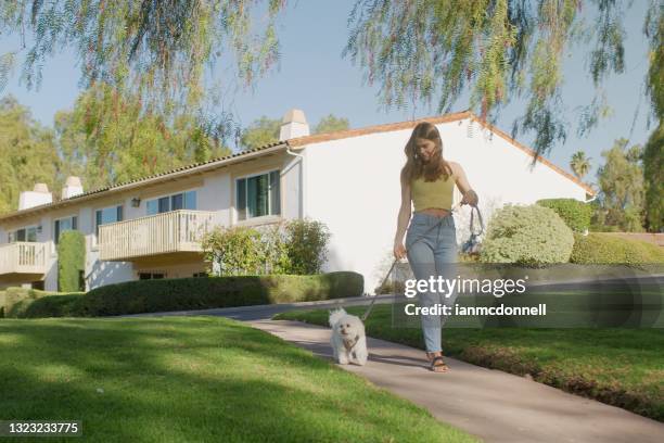 walking the dog - escondido, california stock pictures, royalty-free photos & images