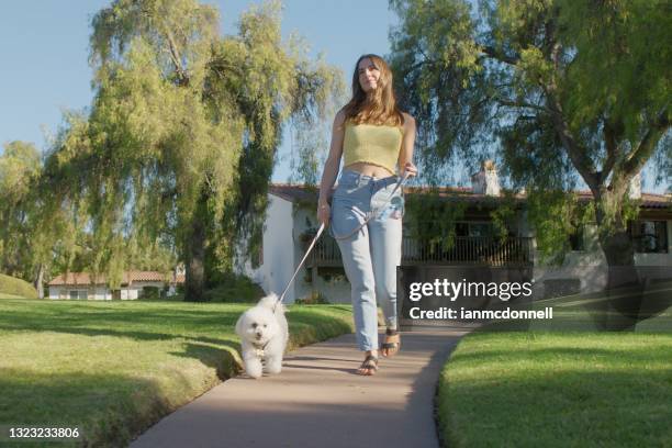 walking the dog - escondido, california stock pictures, royalty-free photos & images