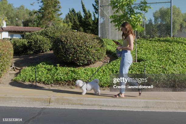 walking and texting - suburban sidewalk stock pictures, royalty-free photos & images