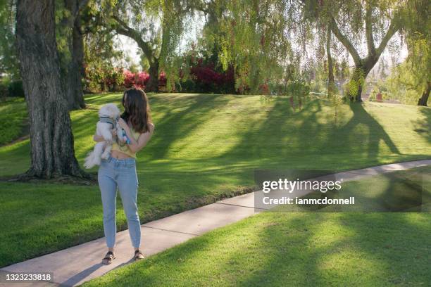 walking the dog - escondido california stock-fotos und bilder