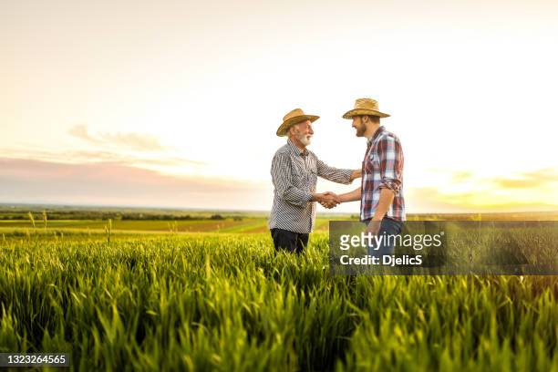 zwei glückliche bauern schütteln auf einem landwirtschaftlichen feld die hände. - rural scene stock-fotos und bilder