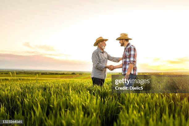 dos agricultores felices estrechando la mano en un campo agrícola. - farmers fotografías e imágenes de stock