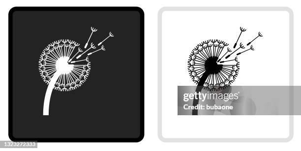 ilustraciones, imágenes clip art, dibujos animados e iconos de stock de icono de diente de león en el botón negro con rollover blanco - diente de león