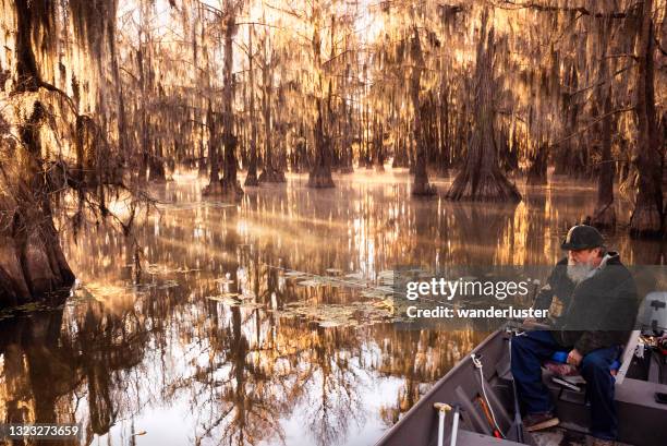 fishing at caddo lake - louisiana boat stock pictures, royalty-free photos & images